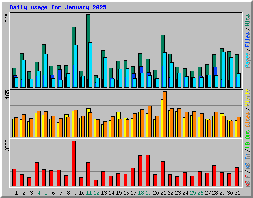 Daily usage for January 2025