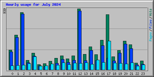 Hourly usage for July 2024