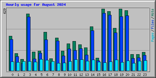 Hourly usage for August 2024