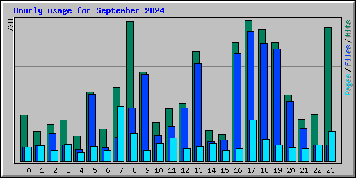 Hourly usage for September 2024