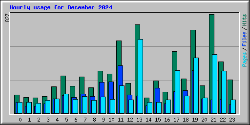 Hourly usage for December 2024