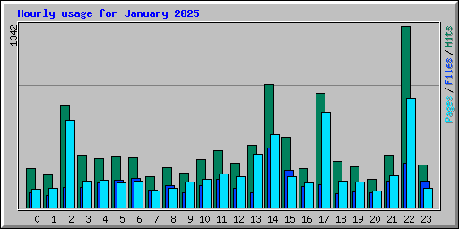 Hourly usage for January 2025