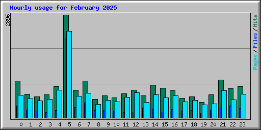 Hourly usage for February 2025